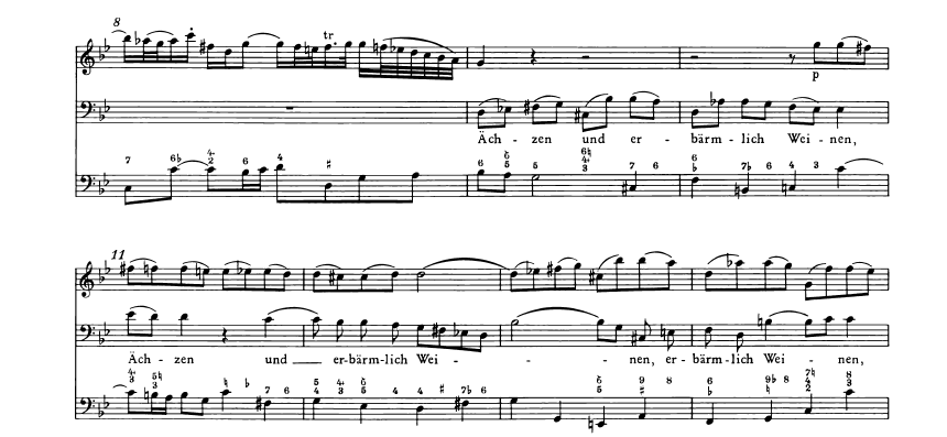 Partiturausschnitt aus der Bachkantate BWV 13 „Meine Seufzer, meine Tränen“, Bassarie.