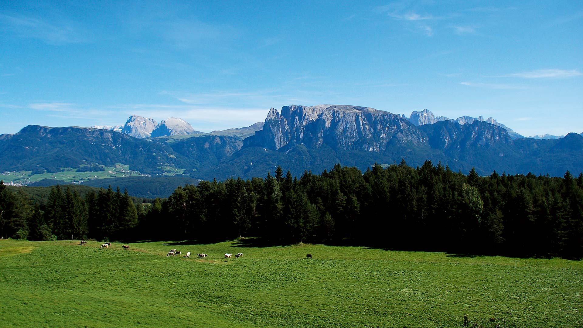 In der beeindruckenden und manchmal bizarren Natur Südtirols suchte Sigmund Freud Erholung.