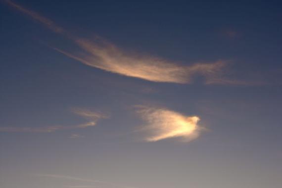 Eine von der Abendsonne beschienene Wolke erinnert an eine fliegende weisse Taube