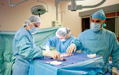 Nierentransplantation in Nizza: Der Hirntod ist das grundlegende Kriterium für die Entnahme eines Spenderorgans. Foto: dpa/A. Benoist