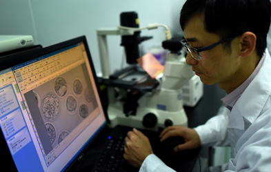 Der Genforscher Huang Junjiu von der Universität Guangzhou in China erforscht die dna von menschlichen Embryonen. Foto: dpa/ Lu Hanxin