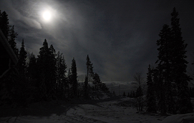 Mondlicht. Foto: Christian Reiser