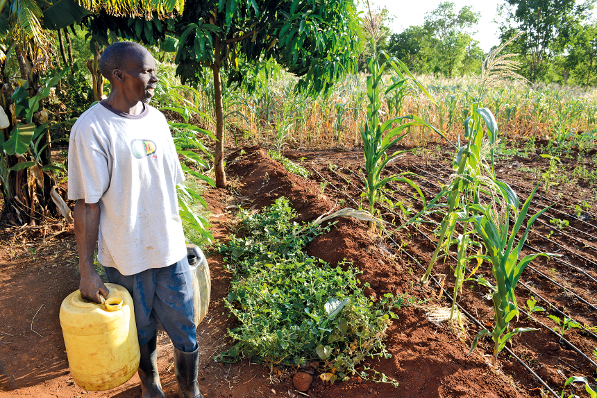 Der Farmer Timothy Muriuki Karaye betreibt mit dem Wasser aus dem Speicher eine Tröpfchenbewässerung für seinen Garten.